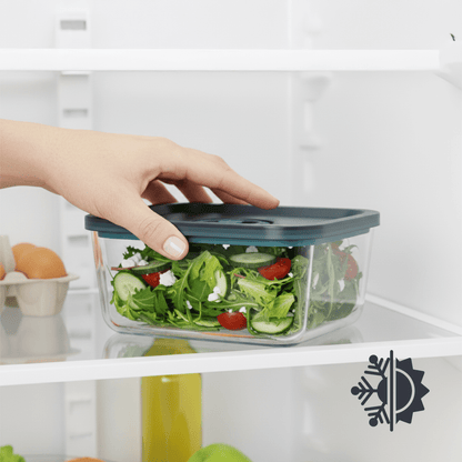 Rectangular Vacuum Glass Storage Container with Date Tracker Lid(800ml)